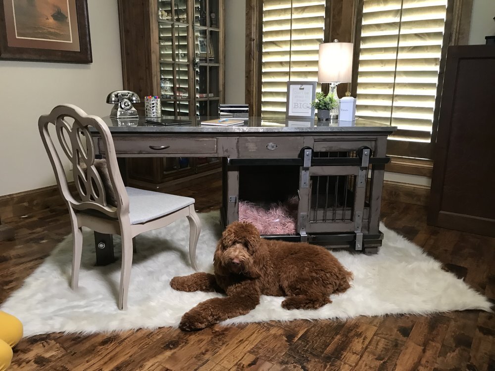 Designer Dog Kennels.jpg
