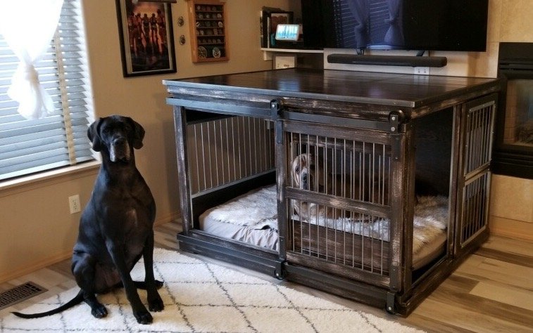 Giant dog. Giant kennel.