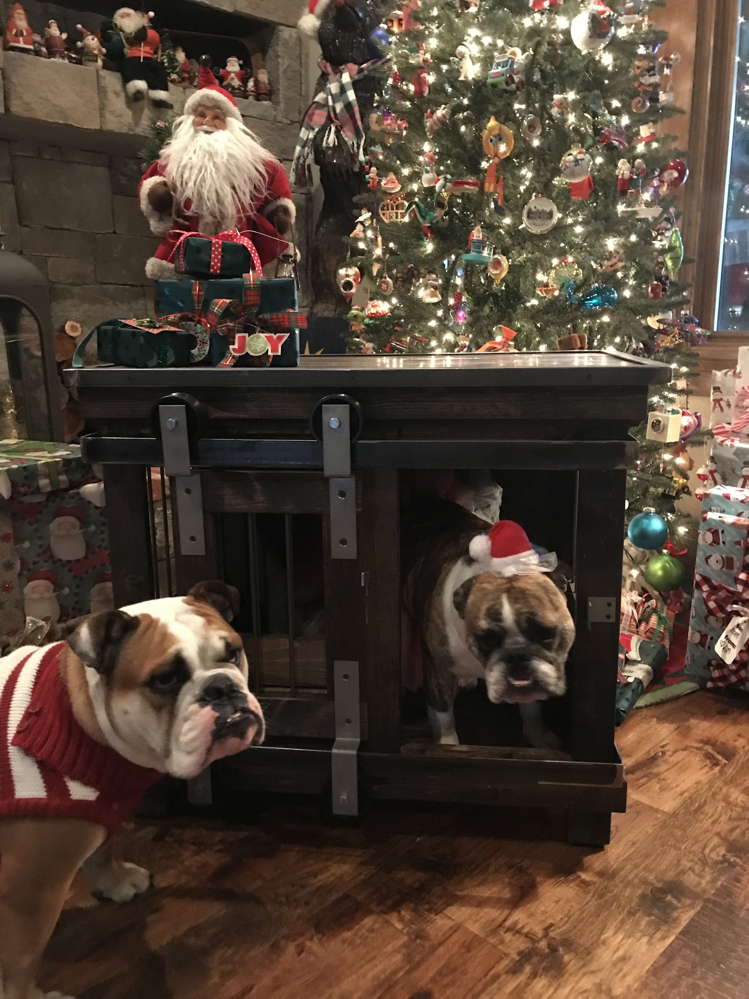 Single medium kennel with barn door