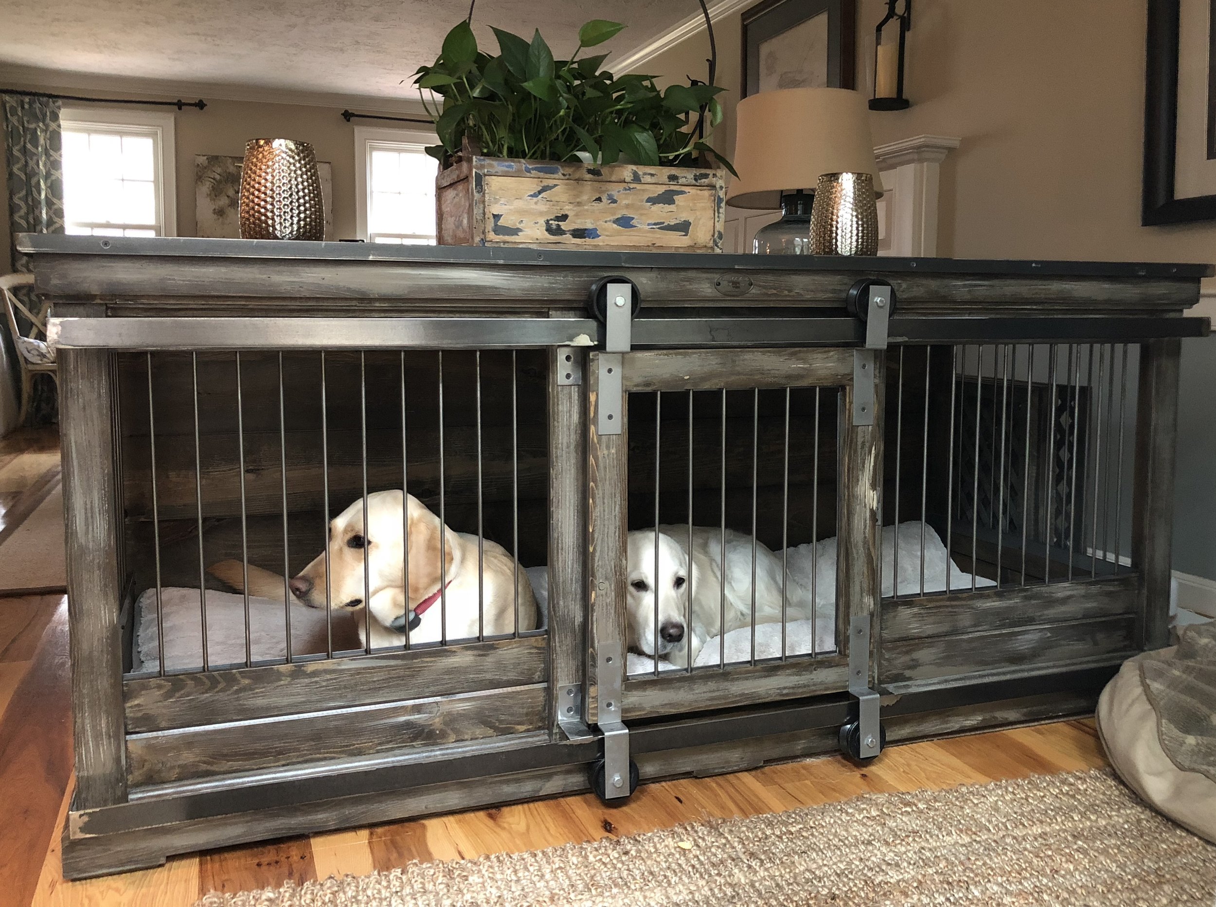 Oversized single door kennel